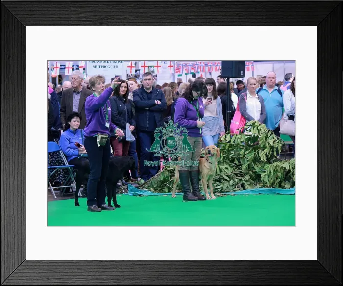 Framed Print : display Framed Print : display