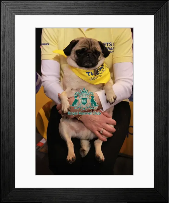 Framed Print : PAT Framed Print : PAT
