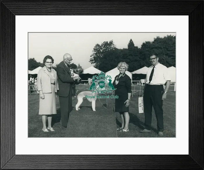 Framed Print : Ch Stanolly Scooby Doo Framed Print : Ch Stanolly Scooby Doo