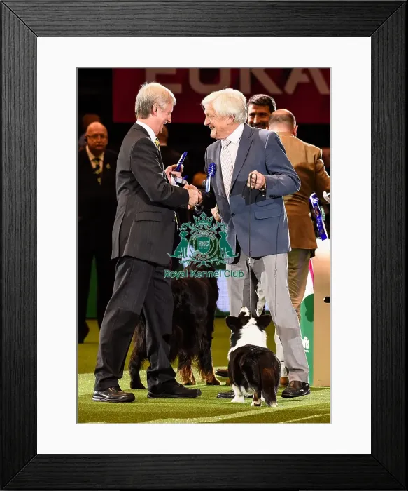Framed Print : Crufts 2016 Framed Print : Crufts 2016