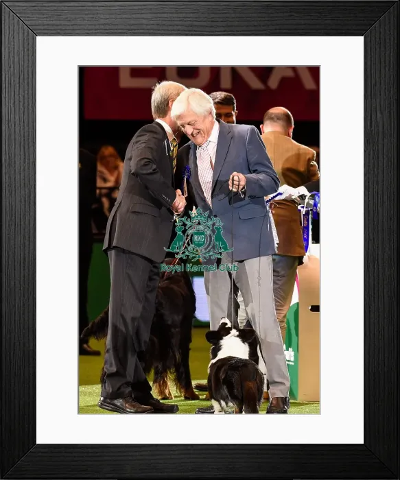 Framed Print : Crufts 2016