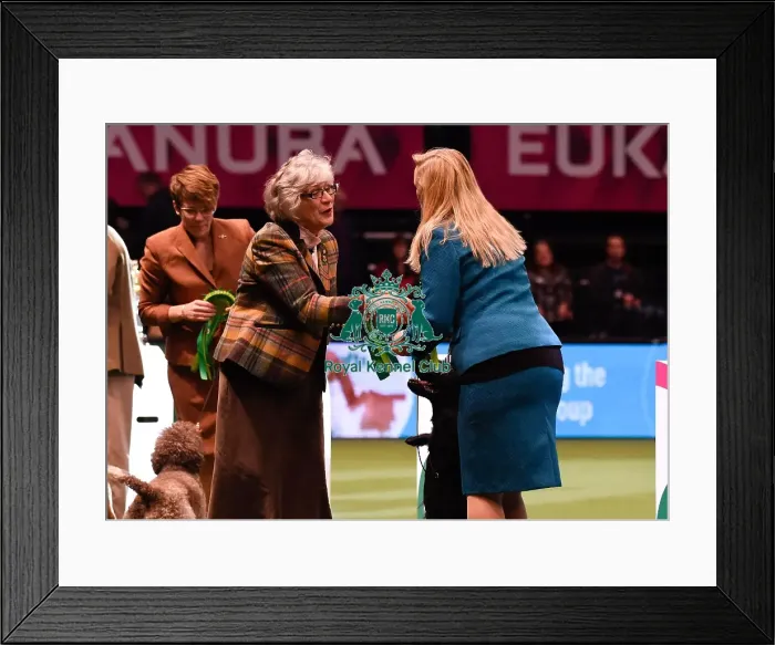 Framed Print : Crufts 2016 Best of Breed