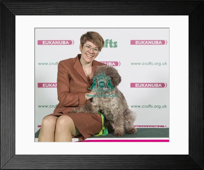 Framed Print : Crufts 2016 Best of Breed Framed Print : Crufts 2016 Best of Breed