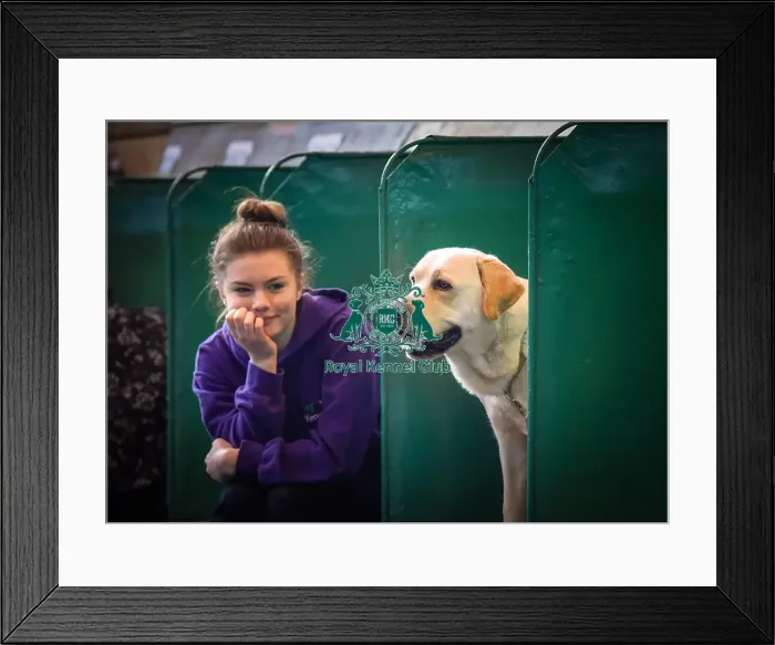 Framed Print : Crufts 2016 Framed Print : Crufts 2016