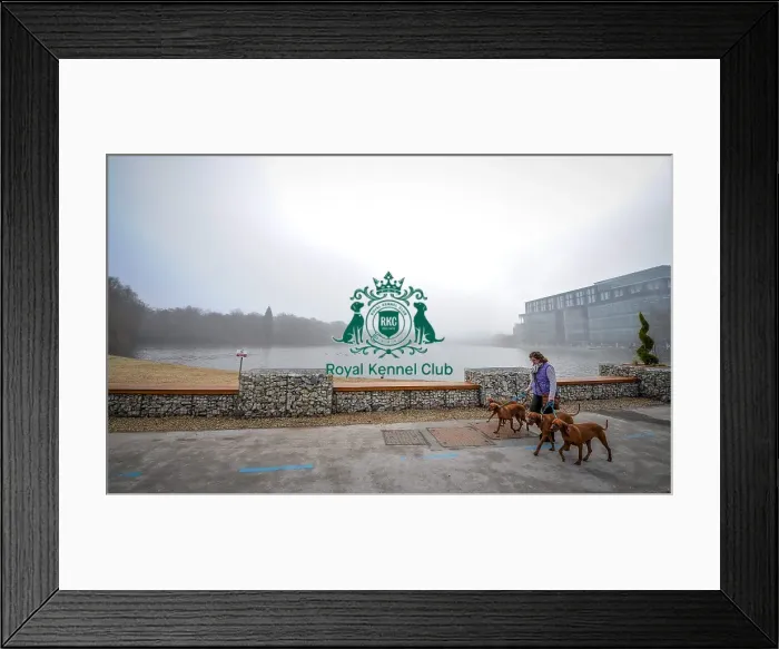 Framed Print : Crufts 2016 Framed Print : Crufts 2016