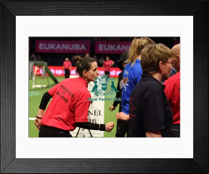 Framed Print : Crufts 2016 Framed Print : Crufts 2016