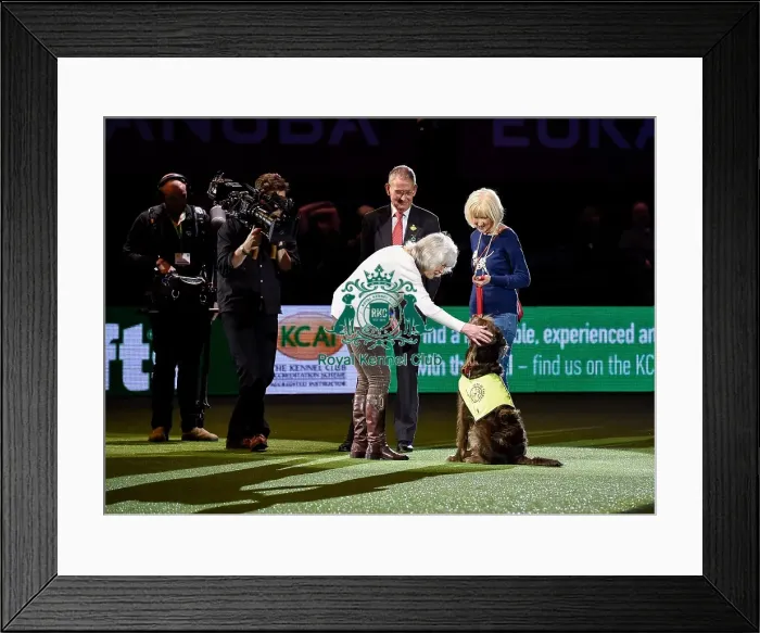 Framed Print : Crufts 2016 Framed Print : Crufts 2016