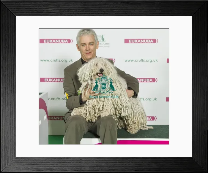 Framed Print : Crufts 2016 Best of Breed