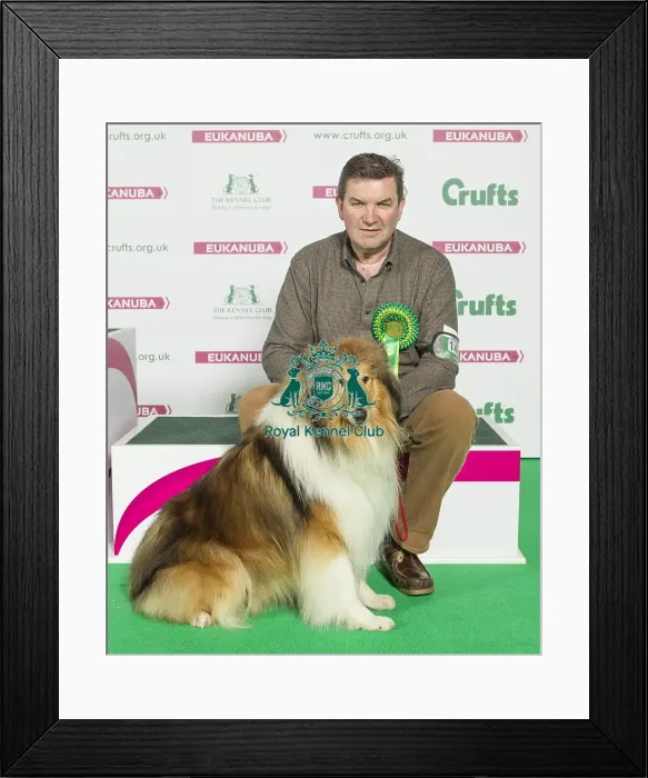 Framed Print : Crufts 2016 Best of Breed