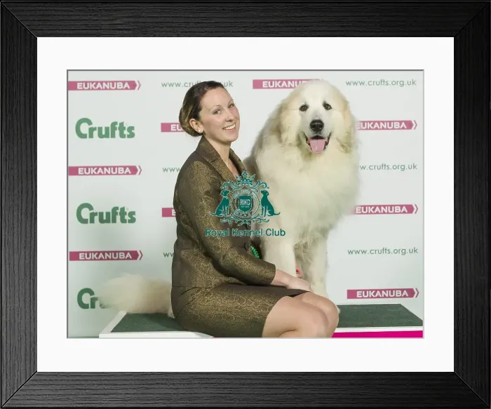 Framed Print : Crufts 2016 Best of Breed