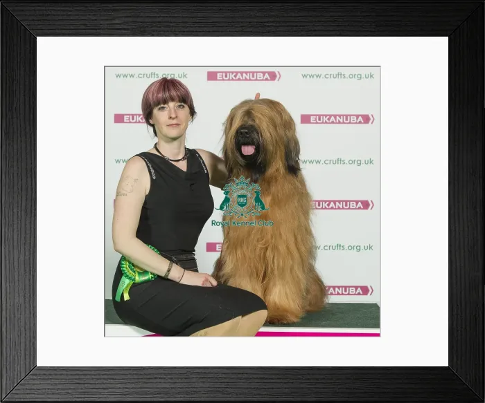 Framed Print : Crufts 2016 Best of Breed