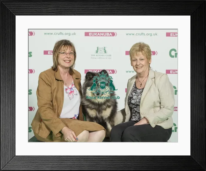 Framed Print : Crufts 2016 Best of Breed Framed Print : Crufts 2016 Best of Breed