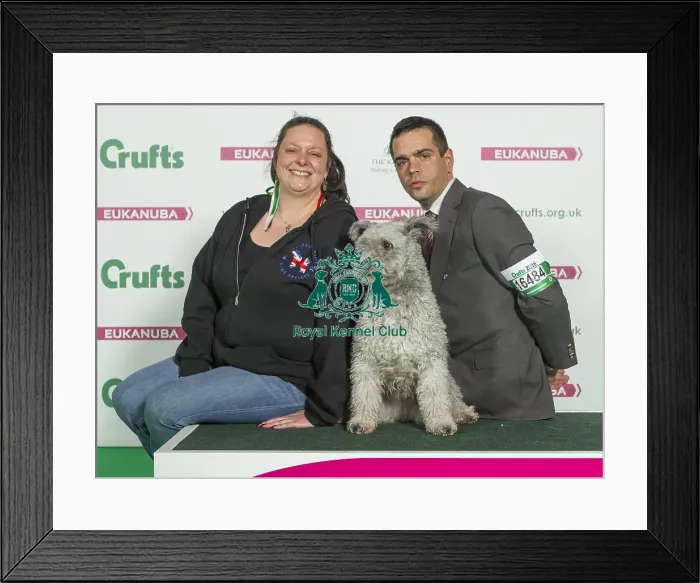 Framed Print : Crufts 2016 Best of Breed Framed Print : Crufts 2016 Best of Breed