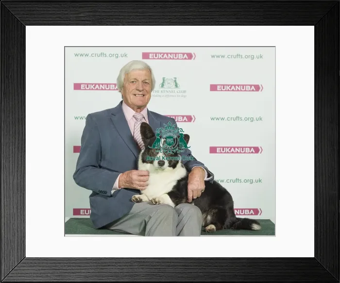 Framed Print : Crufts 2016 Best of Breed Framed Print : Crufts 2016 Best of Breed