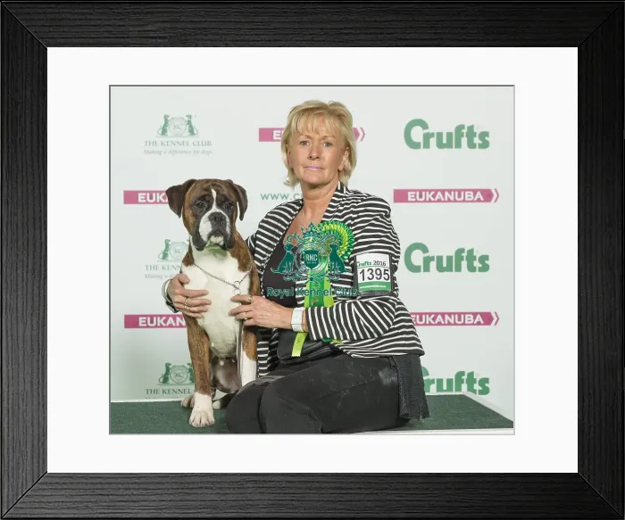 Framed Print : Crufts 2016 Best of Breed