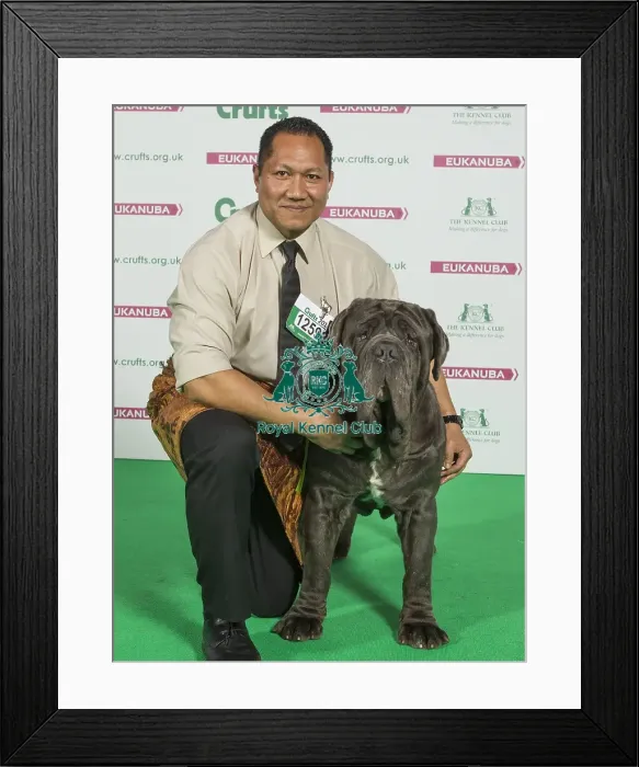Framed Print : Crufts 2016 Best of Breed