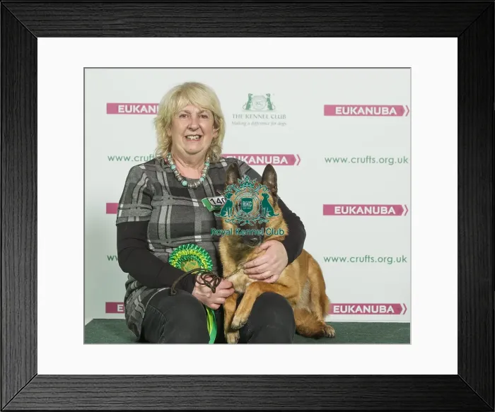 Framed Print : Crufts 2016 Best of Breed Framed Print : Crufts 2016 Best of Breed