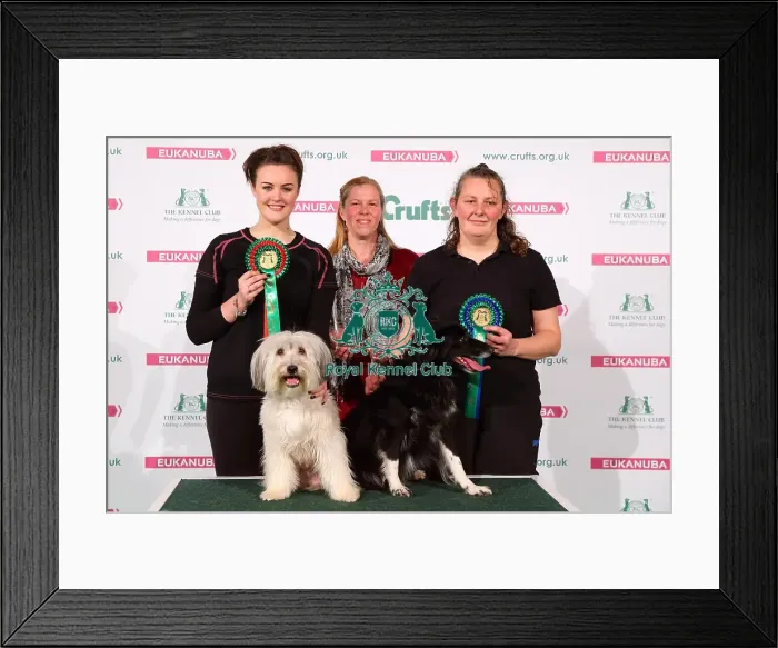 Framed Print : Crufts 2016 Framed Print : Crufts 2016