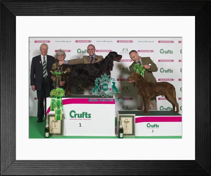 Framed Print : Crufts 2016 Best of Breed Framed Print : Crufts 2016 Best of Breed