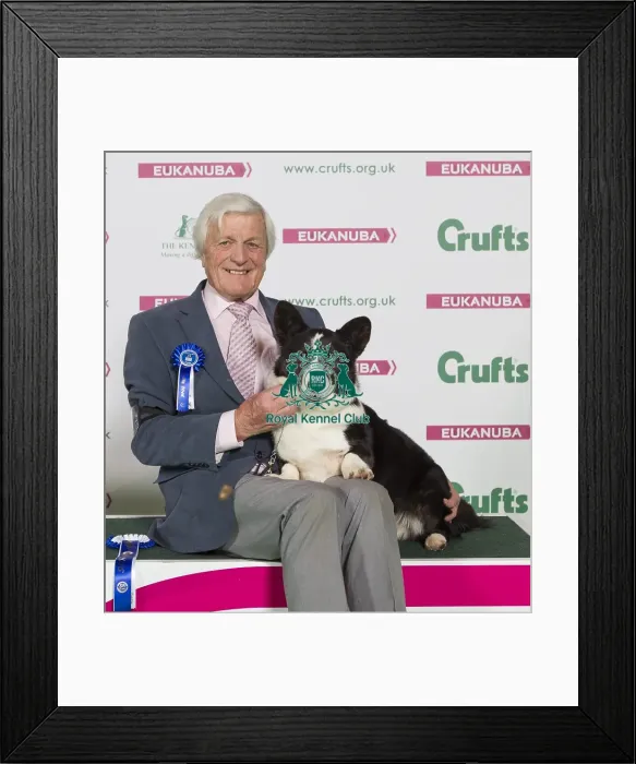 Framed Print : Crufts 2016 Best of Breed Framed Print : Crufts 2016 Best of Breed