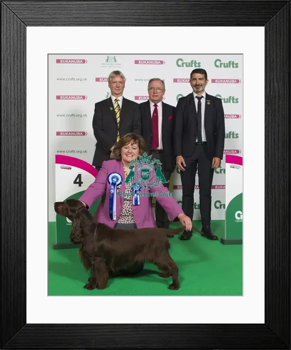 Framed Print : Crufts 2016 Best of Breed