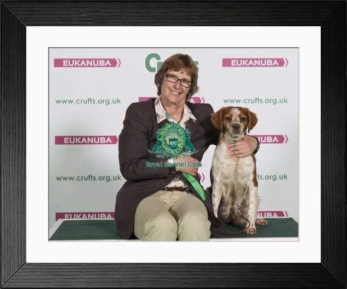 Framed Print : Crufts 2016 Best of Breed Framed Print : Crufts 2016 Best of Breed