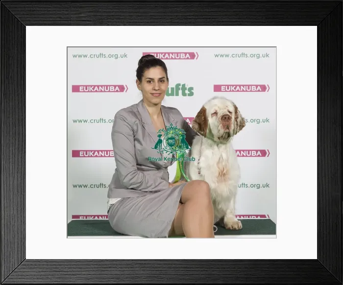Framed Print : Crufts 2016 Best of Breed