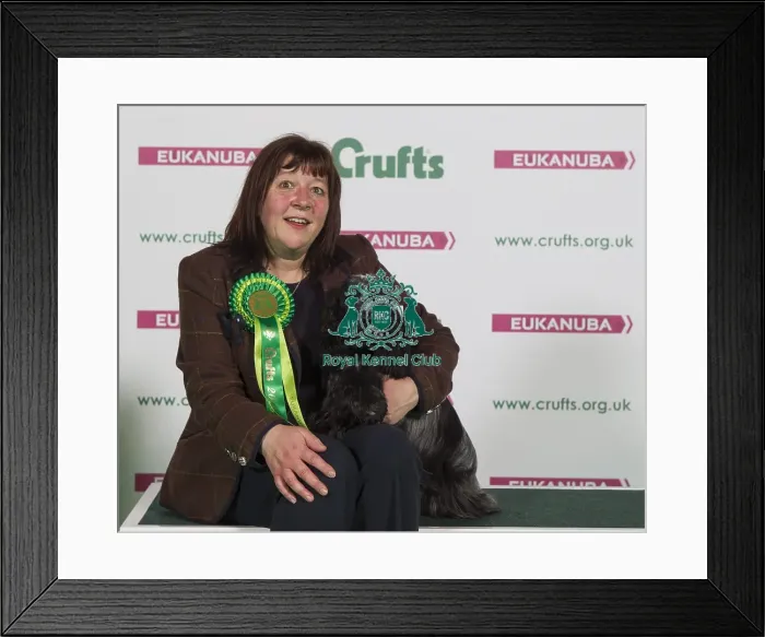 Framed Print : Crufts 2016 Best of Breed Framed Print : Crufts 2016 Best of Breed