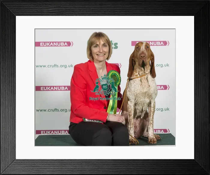 Framed Print : Crufts 2016 Best of Breed Framed Print : Crufts 2016 Best of Breed