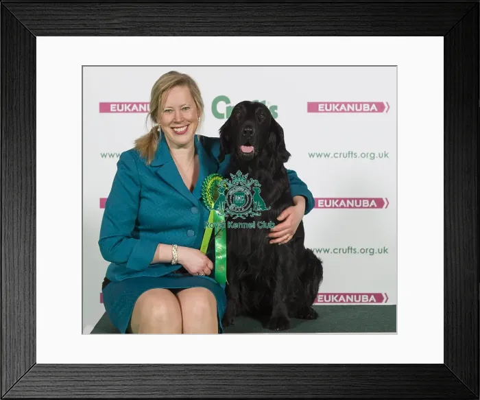 Framed Print : Crufts 2016 Best of Breed Framed Print : Crufts 2016 Best of Breed