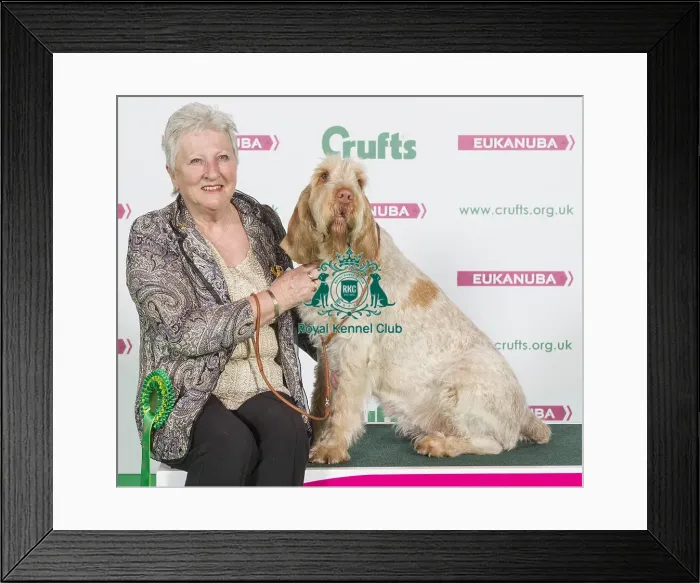 Framed Print : Crufts 2016 Best of Breed Framed Print : Crufts 2016 Best of Breed