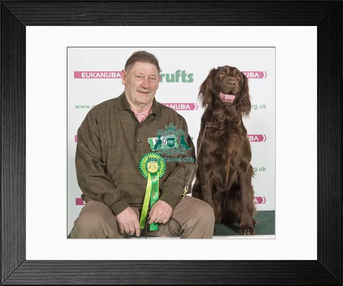 Framed Print : Crufts 2016 Best of Breed Framed Print : Crufts 2016 Best of Breed