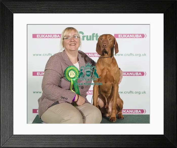 Framed Print : Crufts 2016 Best of Breed Framed Print : Crufts 2016 Best of Breed