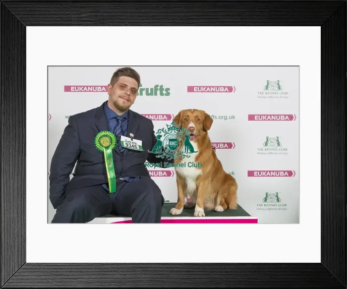 Framed Print : Crufts 2016 Best of Breed