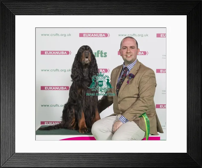 Framed Print : Crufts 2016 Best of Breed Framed Print : Crufts 2016 Best of Breed