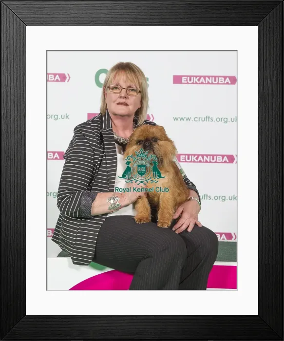 Framed Print : Crufts 2016 Best of Breed Framed Print : Crufts 2016 Best of Breed