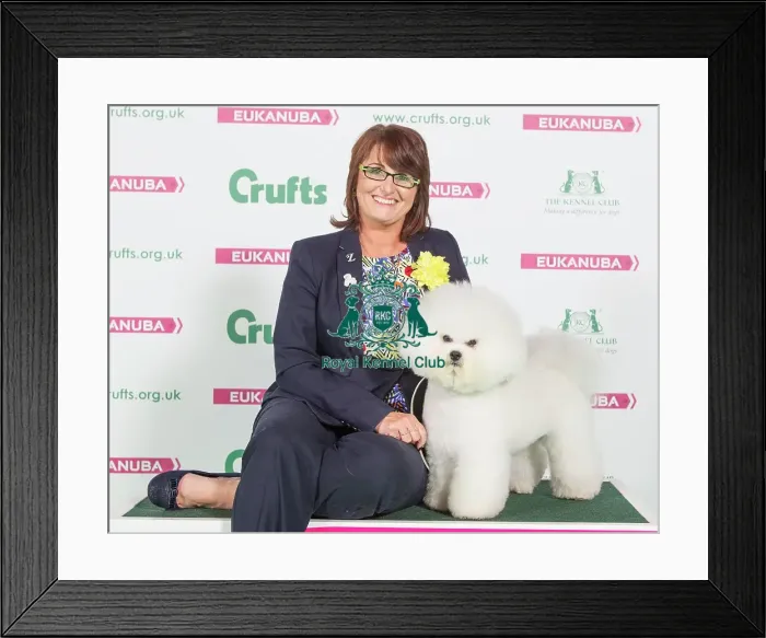 Framed Print : Crufts 2016 Best of Breed Framed Print : Crufts 2016 Best of Breed