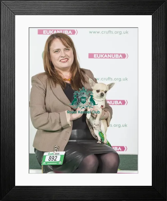 Framed Print : Crufts 2016 Best of Breed