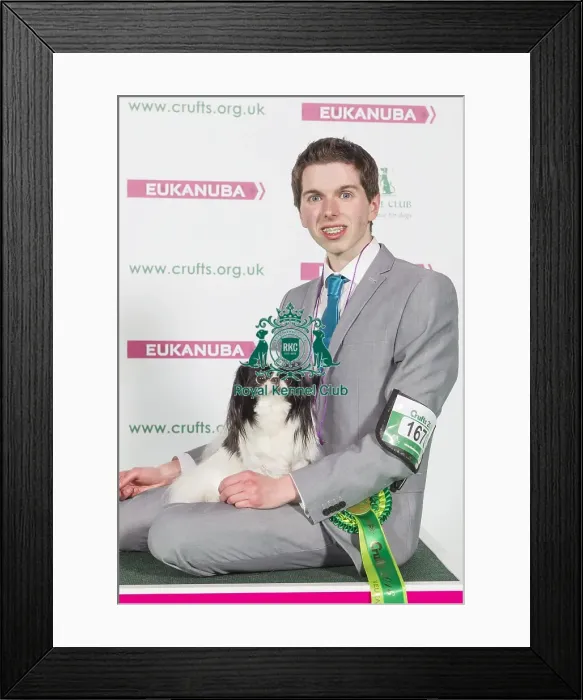 Framed Print : Crufts 2016 Best of Breed Framed Print : Crufts 2016 Best of Breed