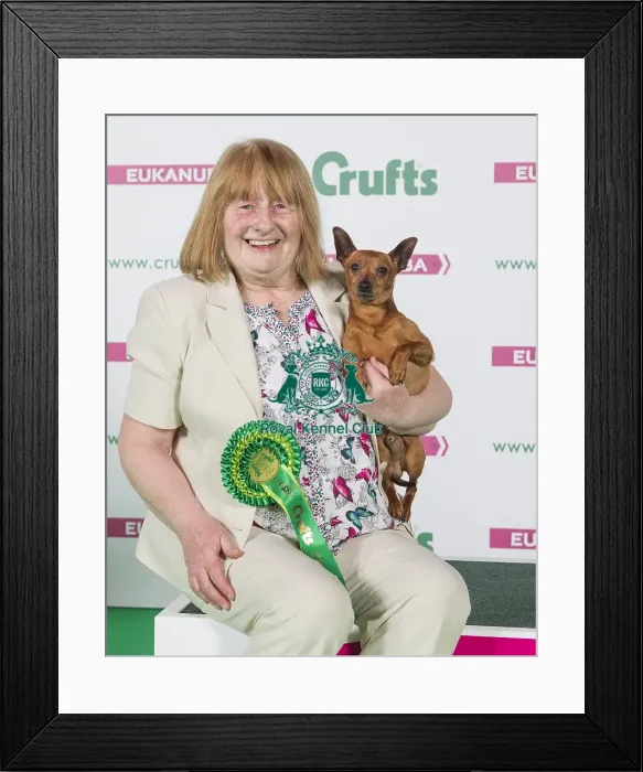 Framed Print : Crufts 2016 Best of Breed