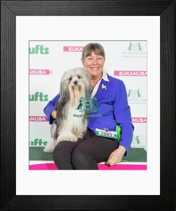Framed Print : Crufts 2016 Best of Breed Framed Print : Crufts 2016 Best of Breed