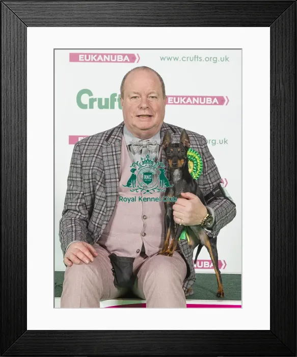 Framed Print : Crufts 2016 Best of Breed