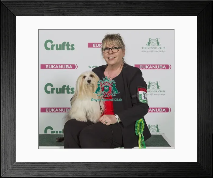 Framed Print : Crufts 2016 Best of Breed Framed Print : Crufts 2016 Best of Breed