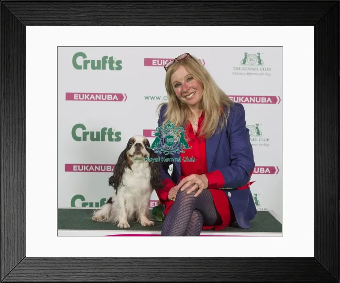 Framed Print : Crufts 2016 Best of Breed Framed Print : Crufts 2016 Best of Breed