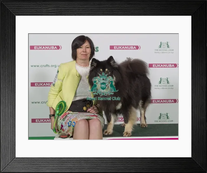 Framed Print : Crufts 2016 Best of Breed Framed Print : Crufts 2016 Best of Breed