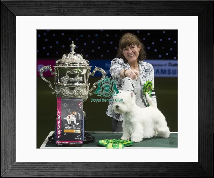 Framed Print : Best in Show, Crufts 2016 Framed Print : Best in Show, Crufts 2016