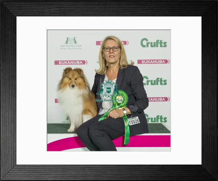 Framed Print : Crufts 2016 Best of Breed Framed Print : Crufts 2016 Best of Breed