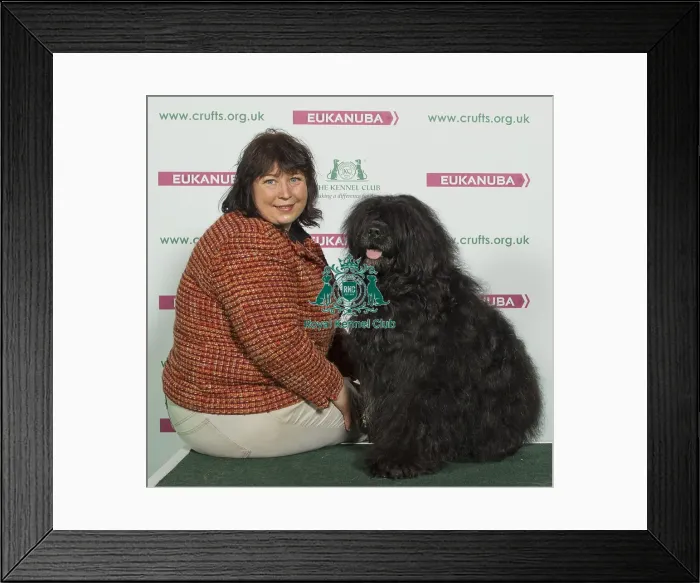 Framed Print : Crufts 2016 Best of Breed Framed Print : Crufts 2016 Best of Breed