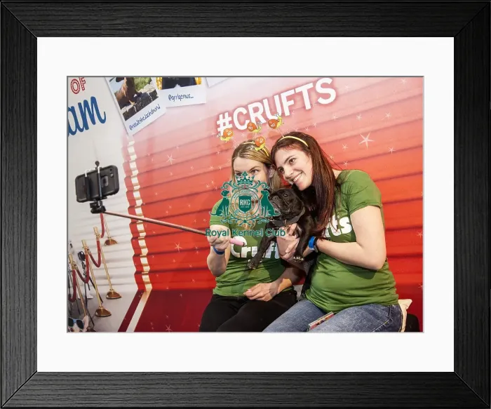 Framed Print : Crufts 2016 Framed Print : Crufts 2016
