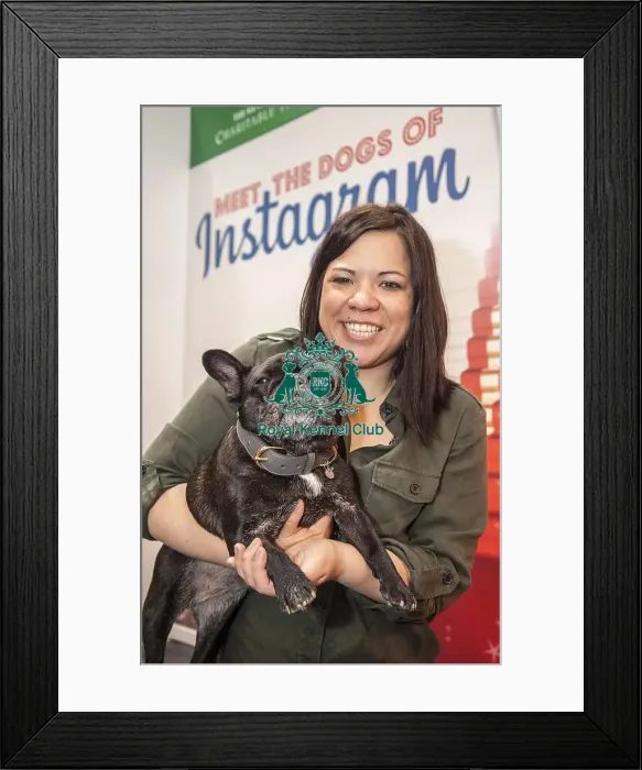 Framed Print : Crufts 2016 Framed Print : Crufts 2016